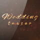 Wedding Day - VideoHive Item for Sale