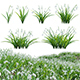 Galanthus nivalis - Snowdrop - 3DOcean Item for Sale