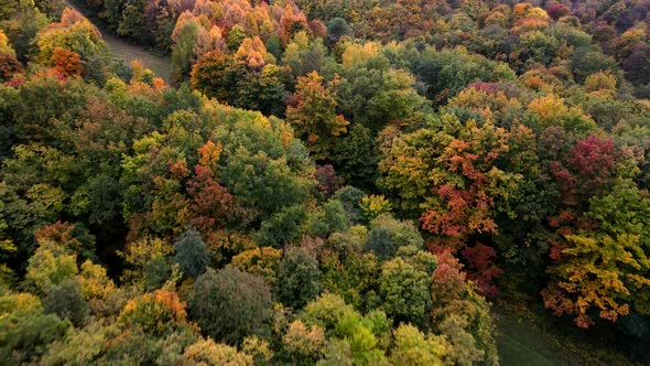 Autumn Colors of Lviv City