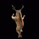 45 Deer Dancing HD - VideoHive Item for Sale
