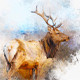 Animal Digital Painting Photo Effect - GraphicRiver Item for Sale