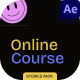 Colorful Online Course Stories Pack - VideoHive Item for Sale
