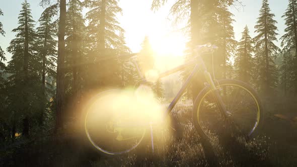 Bicycle in Mountain Forest