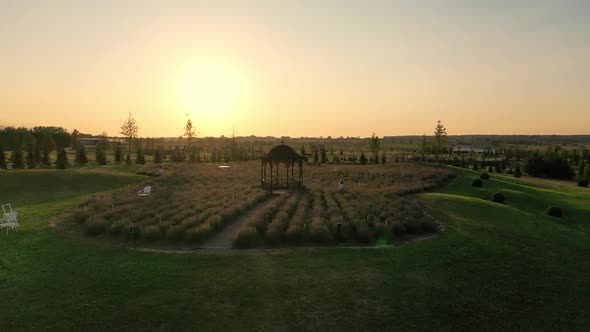 Scenic Landscape of Beautiful Summer Park Dobropark at Sunrise Motyzhyn Ukraine