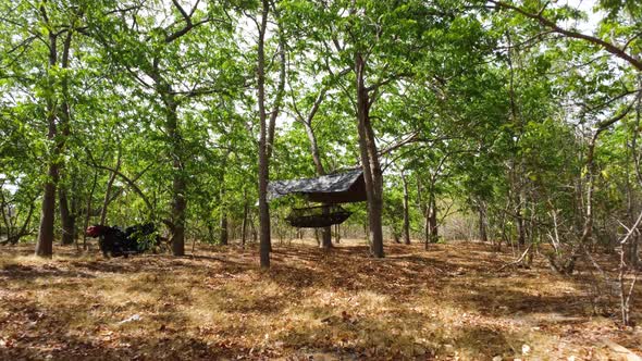 Army Hammock Under The Roof Hanging From The Tree In The Forest. - aerial forward