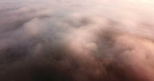 Beautiful Misty Dawn. Flying Above the Clouds, Drone Video