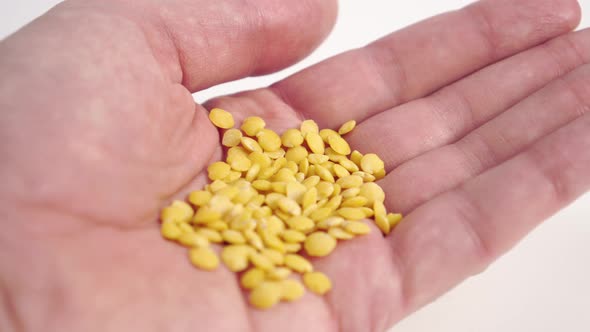 Closeup yellow peeled lentils in a chef's hand. 