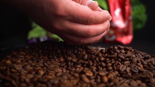 Roasted Coffee Beans Falls Down From Farmer Hands on a Black Table with Food Background