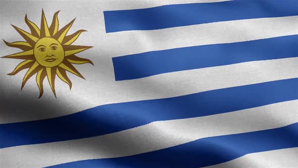 Uruguay Flag Seamless Closeup Waving Animation