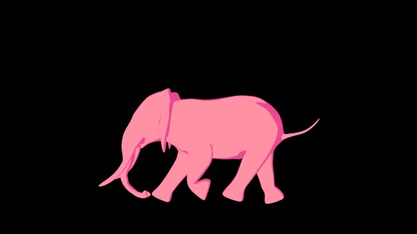 4K Baby Elephant Run alt