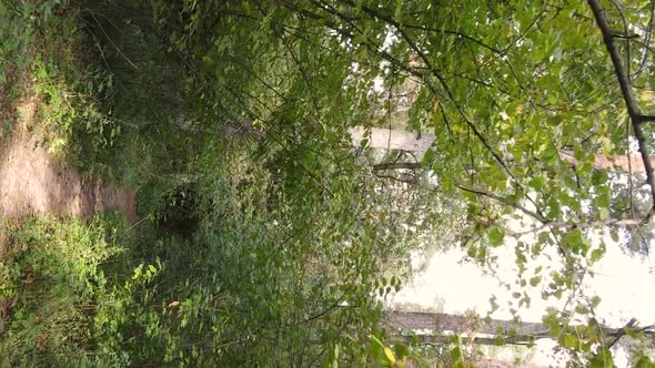 Vertical Video Aerial View of Trees in the Forest on an Autumn Day in Ukraine Slow Motion