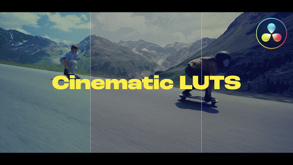 LUTs