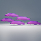 Orchid Dottyback Fish - 3DOcean Item for Sale