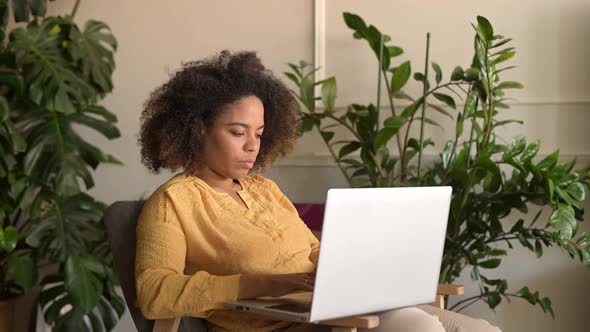 Focused Young Mixedrace Female Entrepreneur Sitting on the Armchair with Laptop