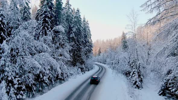 Car Drives Along Empty Road Across Wonderful Snowy Forest