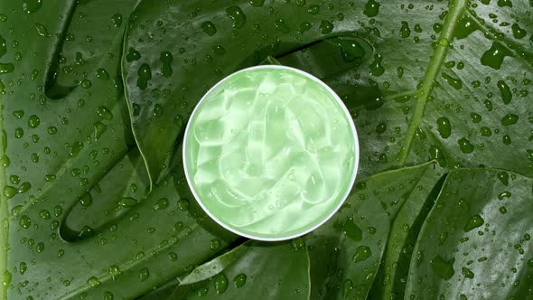 Green Cosmetic Cream with Rotation on Background of Tropical Leaves Monstera