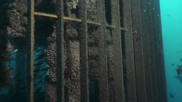 Unique underwater view of a desalination plant inlet infrastructure built deep below the ocean