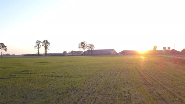 Aerial Cinematic Clip Drone Flying Over a Farm Field During Sunset