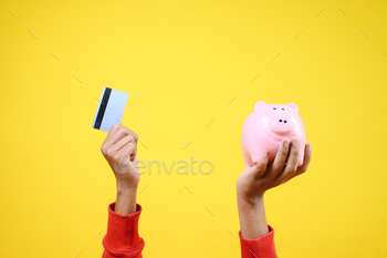 Piggy Bank and Credit Card