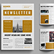 Newsletter Template Design