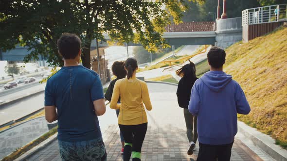 Group of Young People Jogging Early in Morning in Public Park Back View Slow Motion