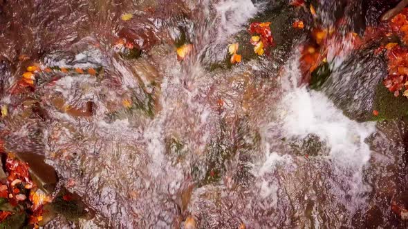 Footage of Wonderful Mountain Stream in the Shypit Karpat National Park