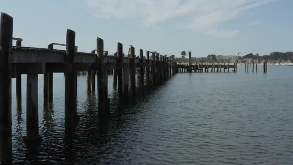 Aerial video of Old Abandoned dock with birds flying past in Northern California Bodega Bay