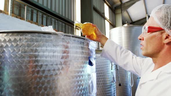 Technician examining olive oil