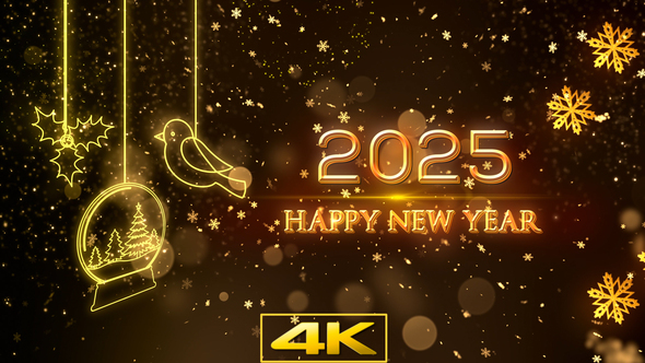 2025 Wish You Happy New Year V1