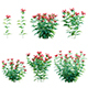 Monarda didyma - Bee Balm - Bergamot - 3DOcean Item for Sale