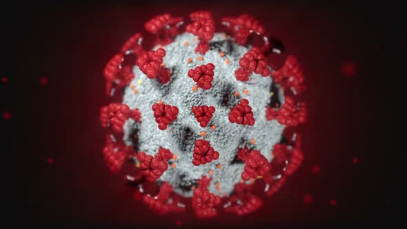 Virus microorganism