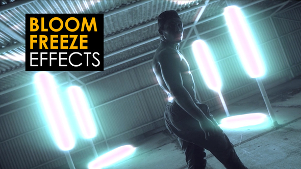 Bloom Freeze Effects | After Effects alt