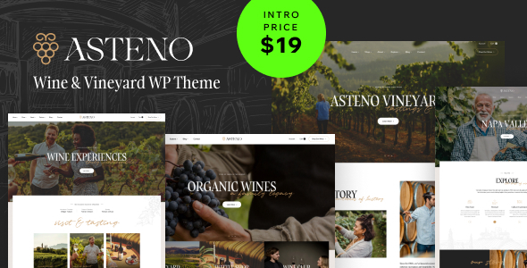 Asteno - Wine & Vineyard WP Theme