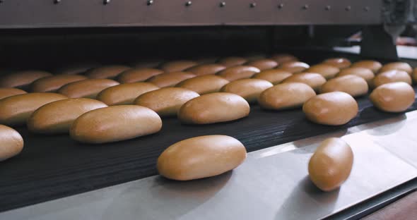 Baked Bread Rolling Down From the Line of