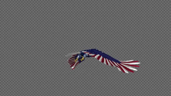 American Eagle - USA Flag - Flying Loop - Back Angle 4K