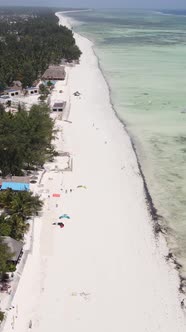 Vertical Video of the Beach on Zanzibar Island Tanzania