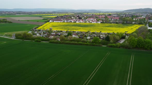 Descent flight over a rapeseed field and a residential area