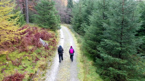 Footage from a drone following two walkers on a rainy day through a path in a forest. The path is in