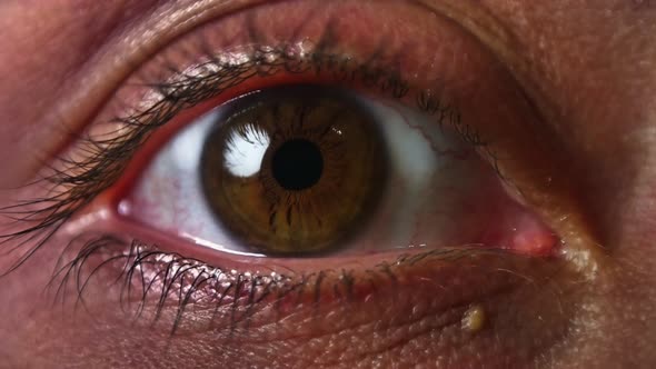 Eye Macro (4K)