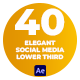 Elegant Social Media Lower Third - VideoHive Item for Sale