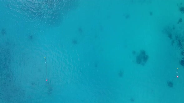 Drone aerial travel of marine coast beach wildlife by lagoon with sand background