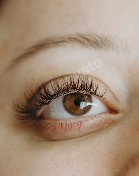 Open eye of a woman with eyelash extensions.