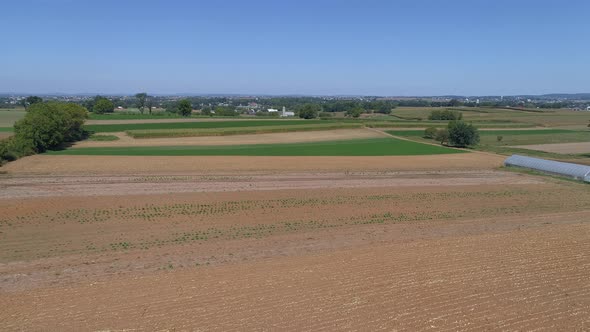 Amish Family Farm Harvesting it's Corn Crop