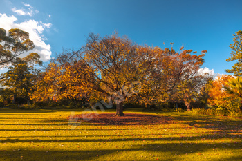 Williamstown Botanic Gardens in Melbourne Australia