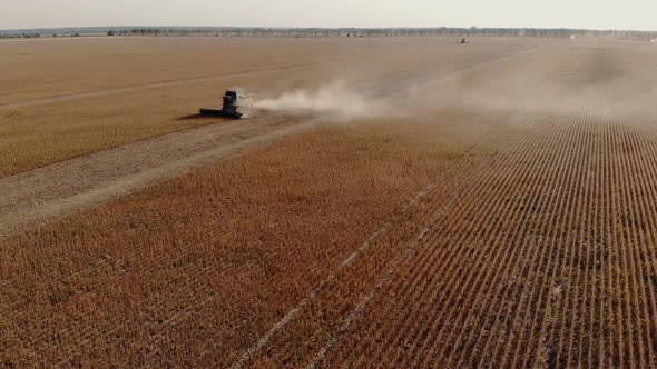 A Combine Harvests Crop in Field