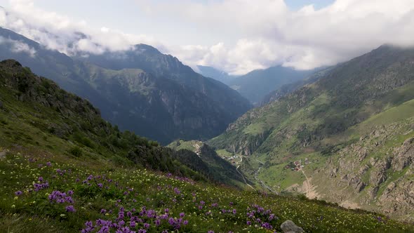 Steep Mountains And Wildflowers