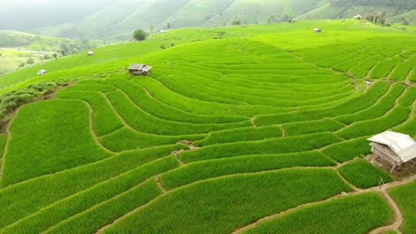 Rice field terrace on mountain agriculture land.