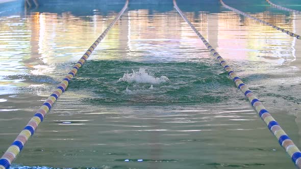 Man Is Swimming The Butterfly Stroke