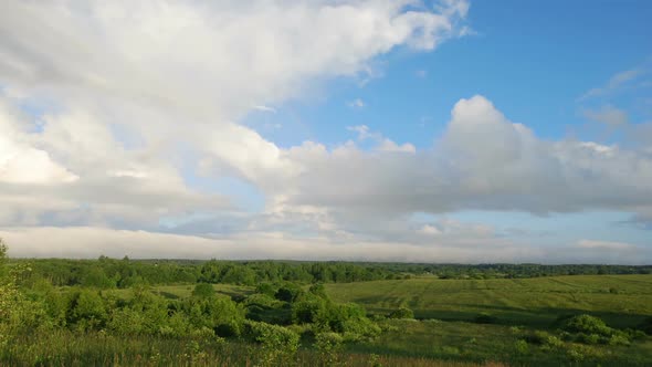 Summer Landscape alt