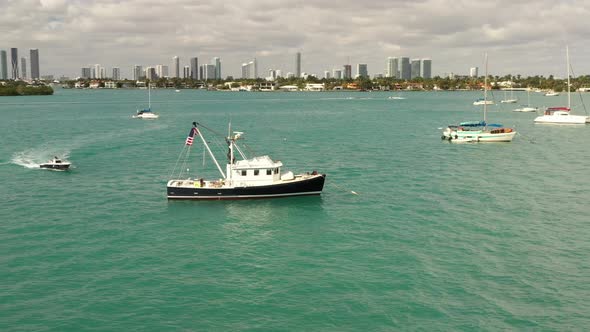 Trolling Boat In The Bay